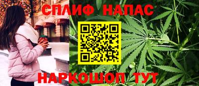сатива Владимир