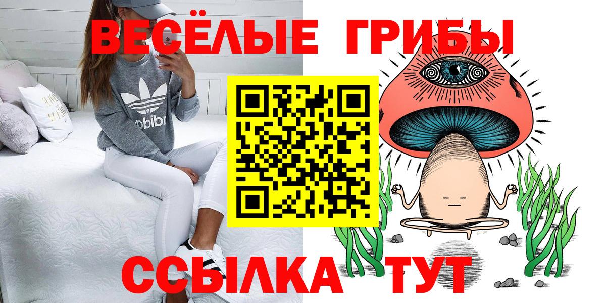 Псилоцибиновые грибы прущие грибы  Вход с VPN  Саранск 