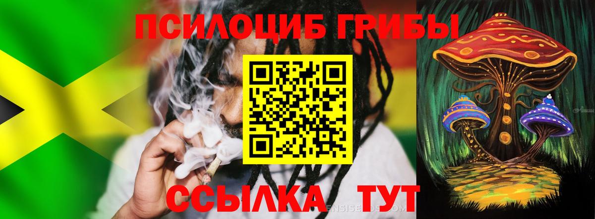 Псилоцибиновые грибы Cubensis Саранск